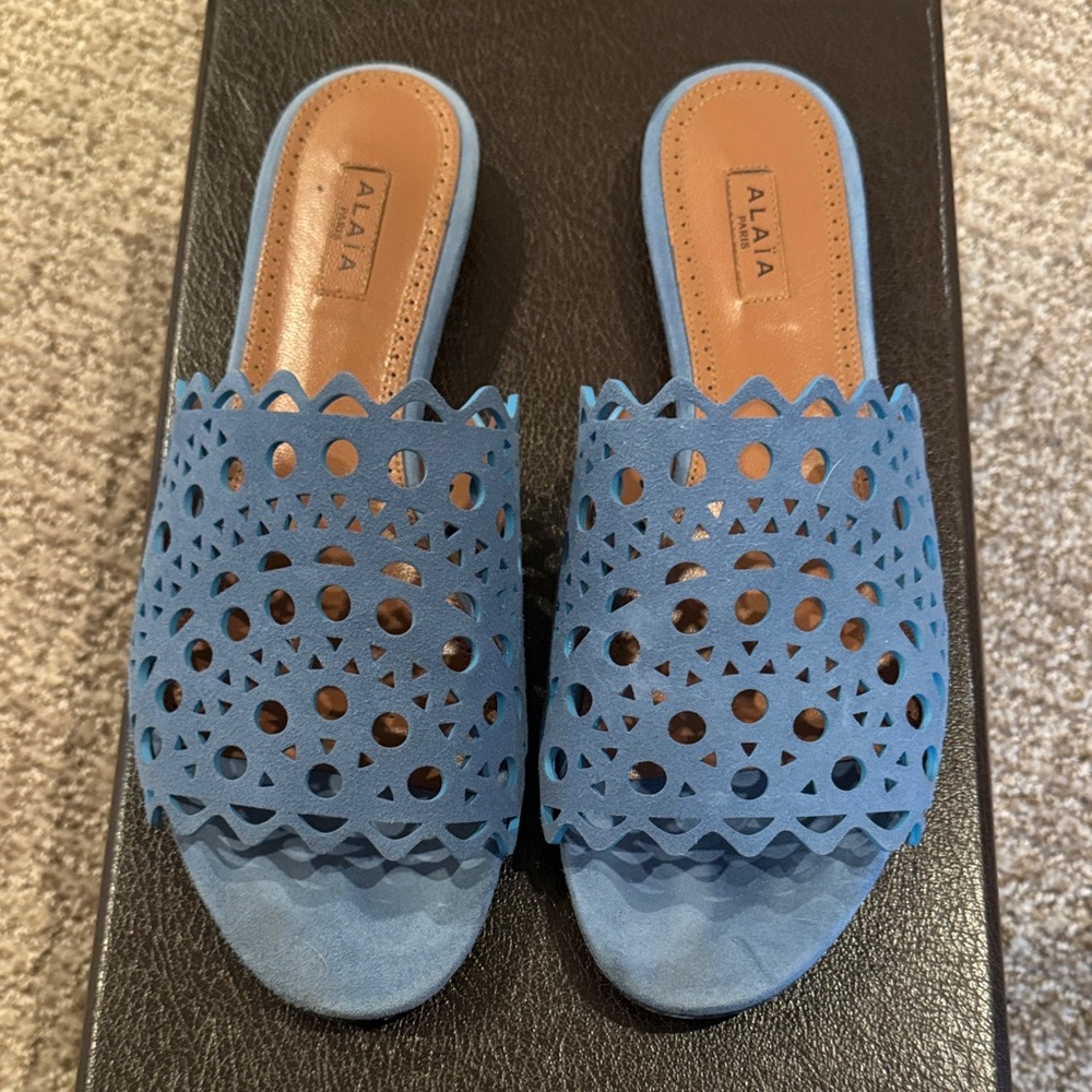 Alaia Vienna Mule